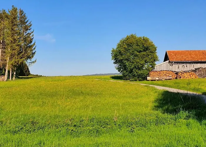 Am Hochbergle Haus 98 펜션